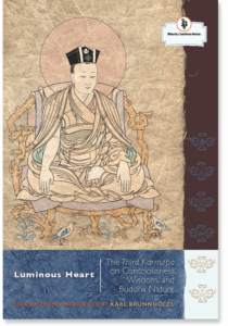 Tibetan Buddhism, Third Karmapa Rangjung Dorje, eight consciousnesses, Karl Brunnhölzl