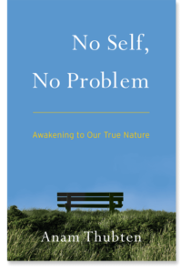no self no problem