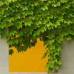 an_opening practice of mindful photography