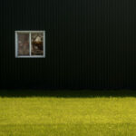 barn2 practice of mindful photography