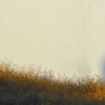 firewall practice of mindful photography
