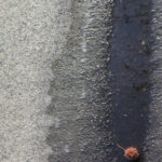 g practice of mindful photography