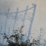 garden_gate_616 practice of mindful photography