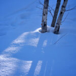 judy.olsen_.morning practice of mindful photography