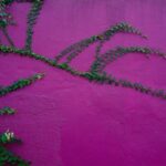 lrm_export_20161115_235041 practice of mindful photography