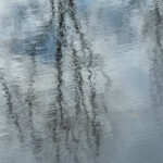 seeingfresh_1_of_1_26 practice of mindful photography