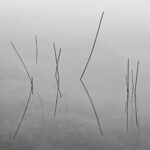 tranquility practice of mindful photography