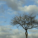winterscape_2 practice of mindful photography