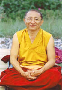 Chokyi Nyima Rinpoche, Tibetan Buddhism