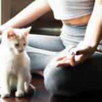 Living the Sutras | Free Yoga Class + Meditation Audio