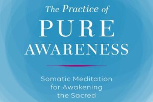 Practice_Pure_Awareness_Article_AG Practice of Pure Awareness