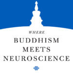 Brain Control of Sleeping and Dreaming States | An Excerpt from Where Buddhism Meets Neuroscience