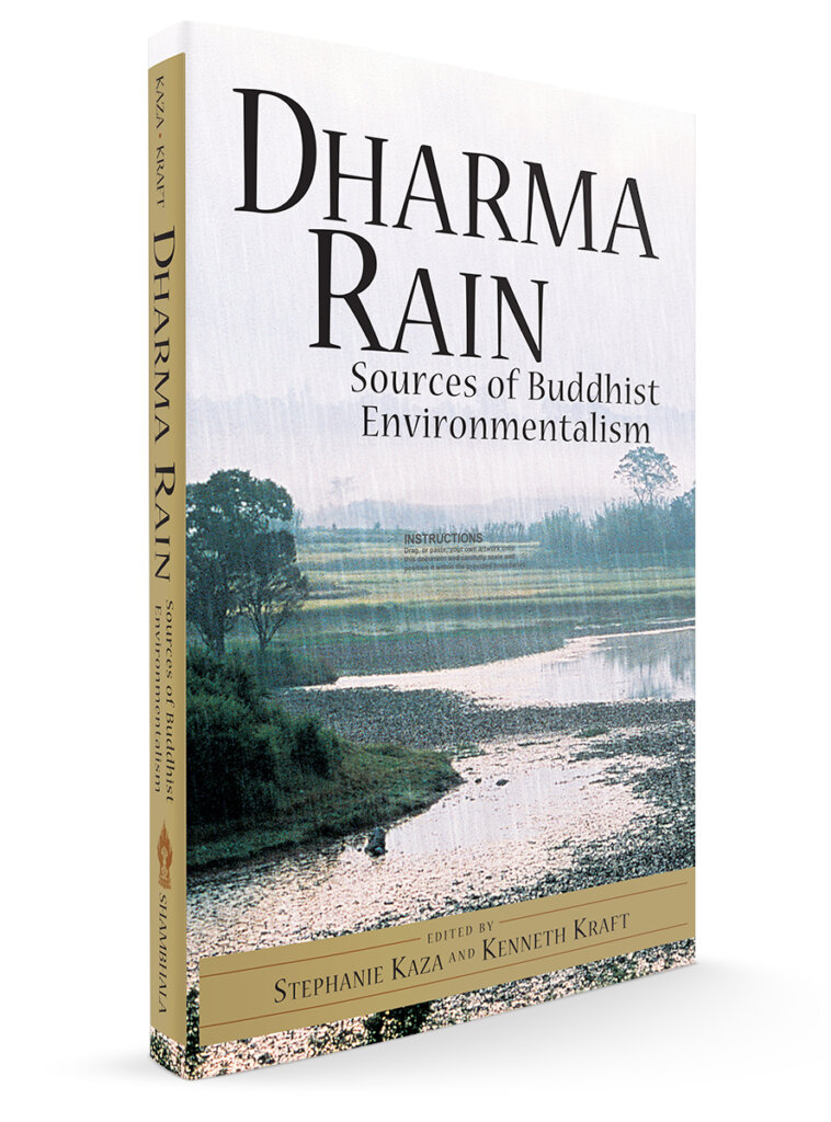 Dharma Rain image