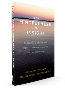 From Mindfulness to Insight From Mindfulness to Insight