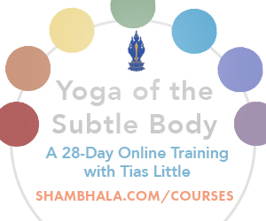 Yoga of the Subtle Body course