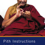 Pith Instructions by Dilgo Khyentse Rinpoche