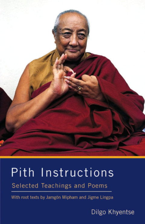 Pith Instructions by Dilgo Khyentse Rinpoche