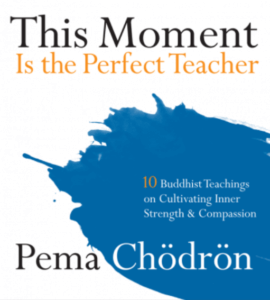 This Moment is the Perfect Teacher