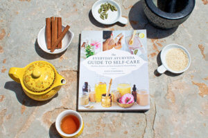 An Ayurvedic Picnic from The Everyday Ayurveda Cookbook
