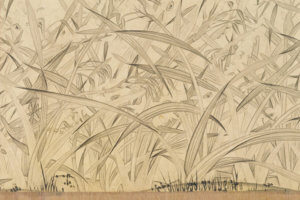 China Root