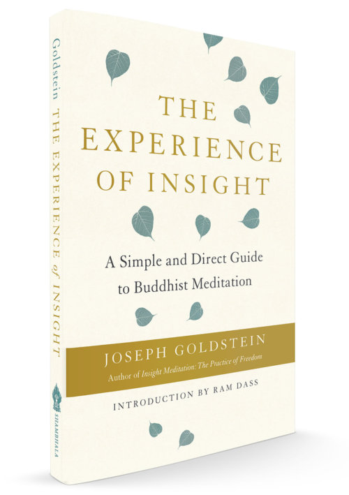 Joseph Goldstein's Experience of Insight