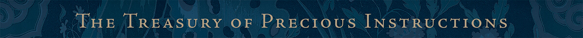 treasury of precious instructions treasury of precious instructions