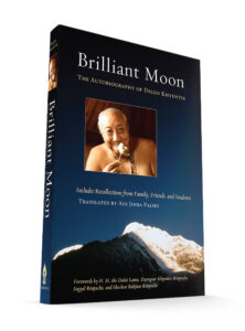 brilliant-moon (1)
