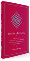 Sole Panacea 2021 Sole Panacea 2021