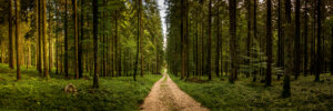 Personal Development Books in 2022