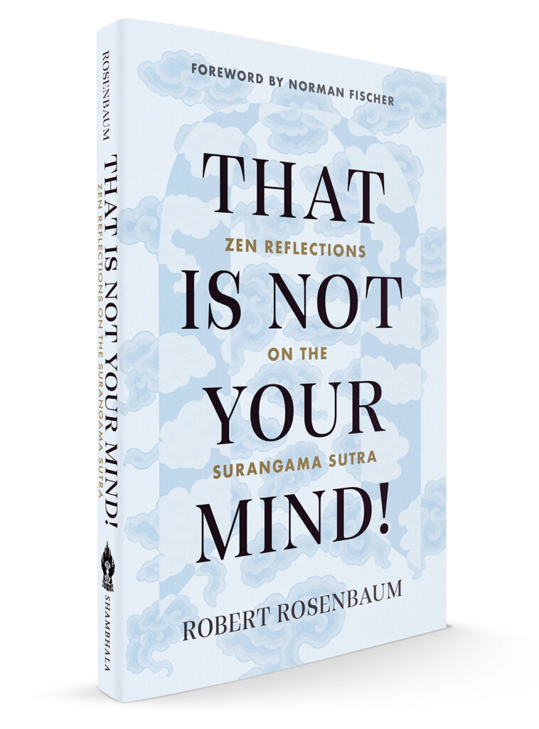 That Is Not Your Mind ROSENBAUM