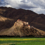 Tibetan Buddhist Books in 2022: A Review