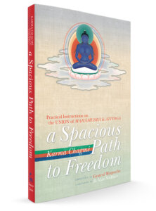 Spacios PAth to Freedom Gyatrul