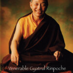Gyatrul Rinpoche: A Guide for Readers