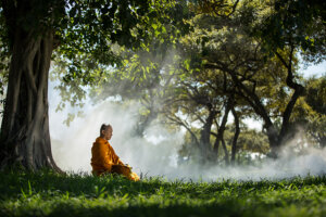 Buddhism and Climate Awareness