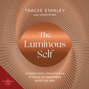 luminous self audiobook cover