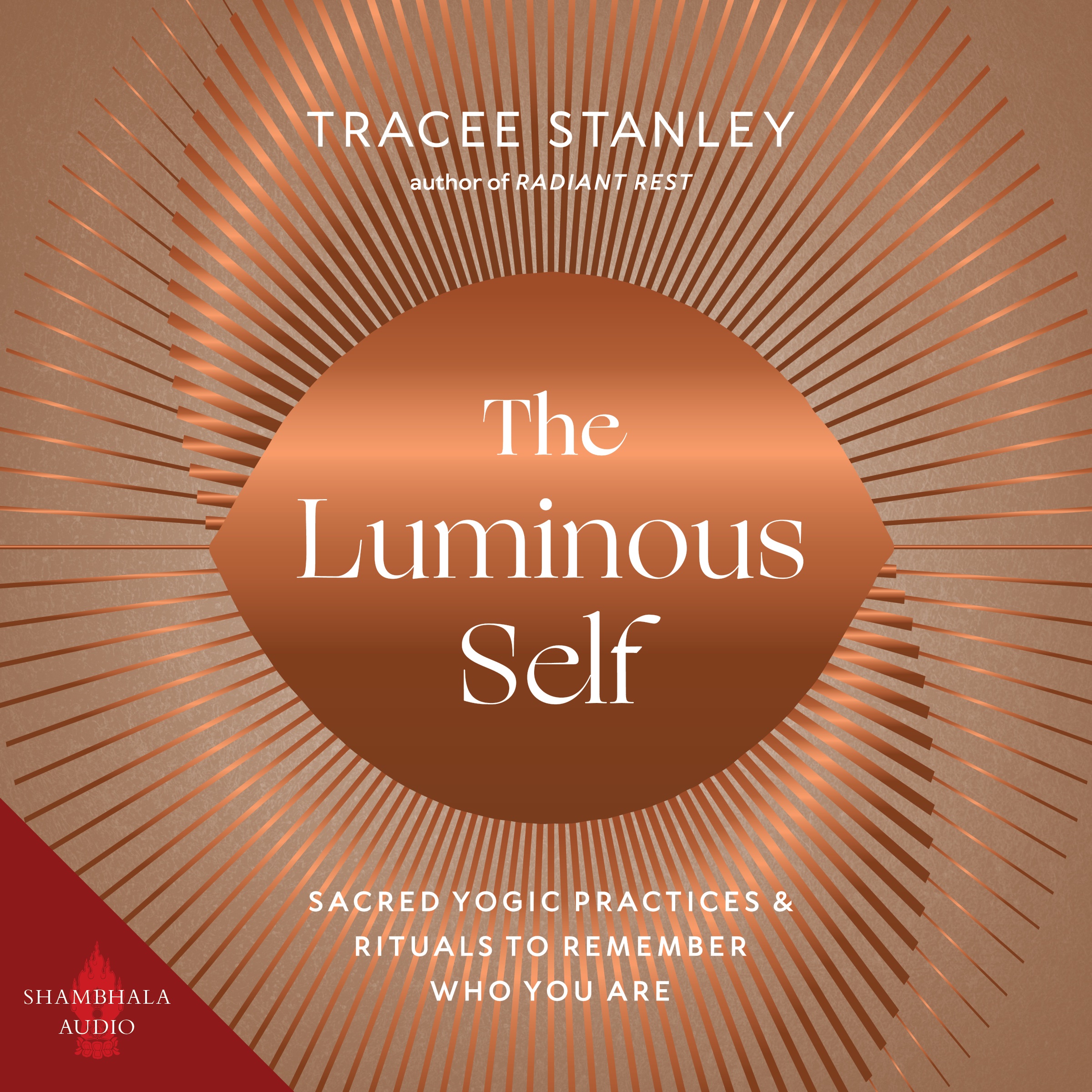 audiobook cover for The Luminous Self
