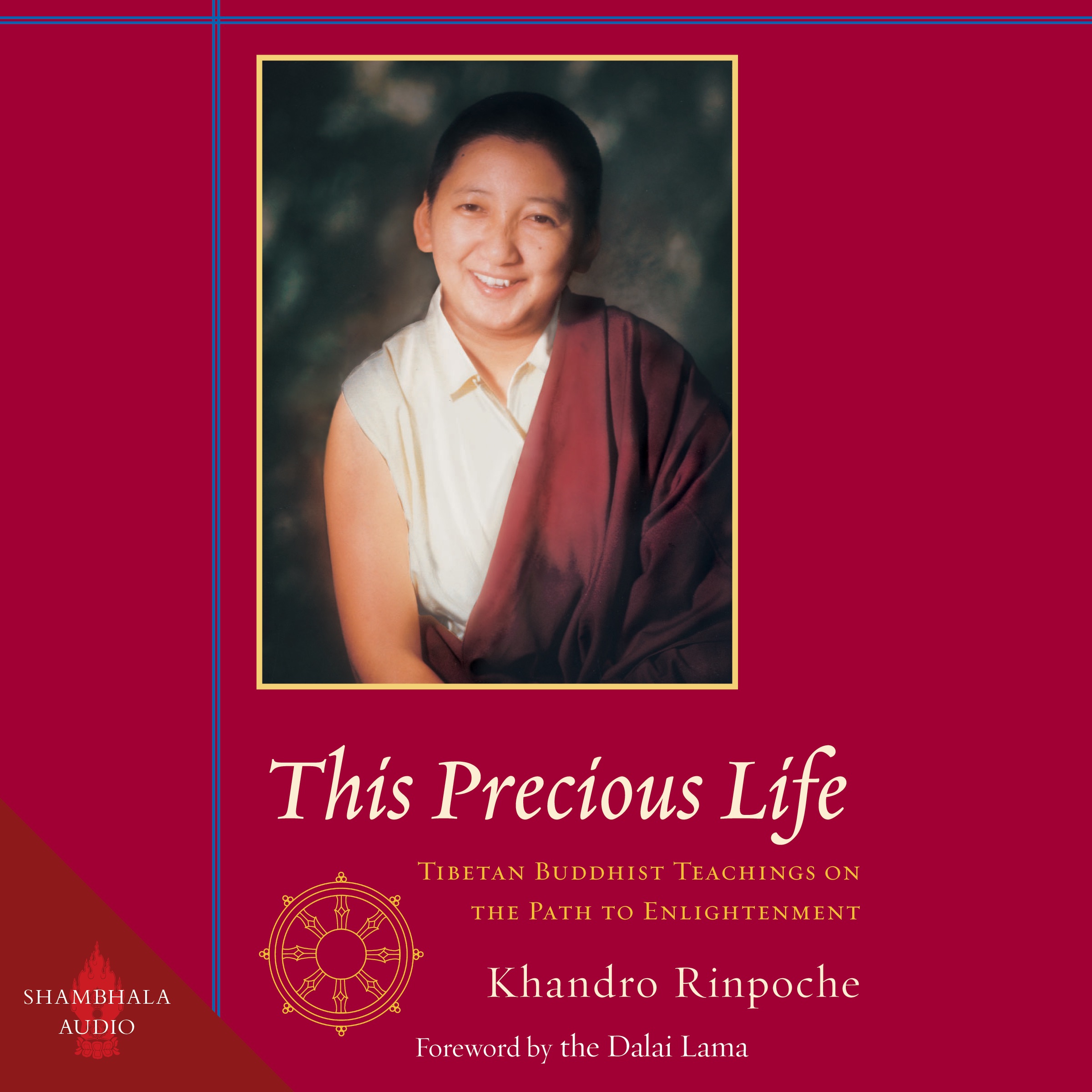 audiobook cover for This Precious Life