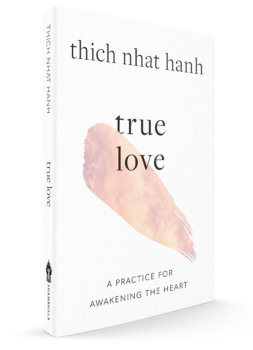 True Love 3D Cover