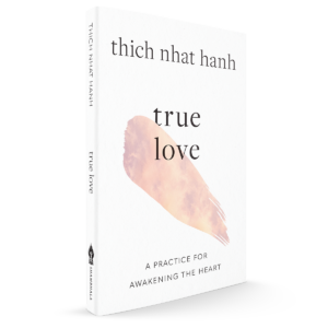 True Love 3D Cover