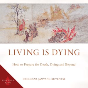living is dying audiobook