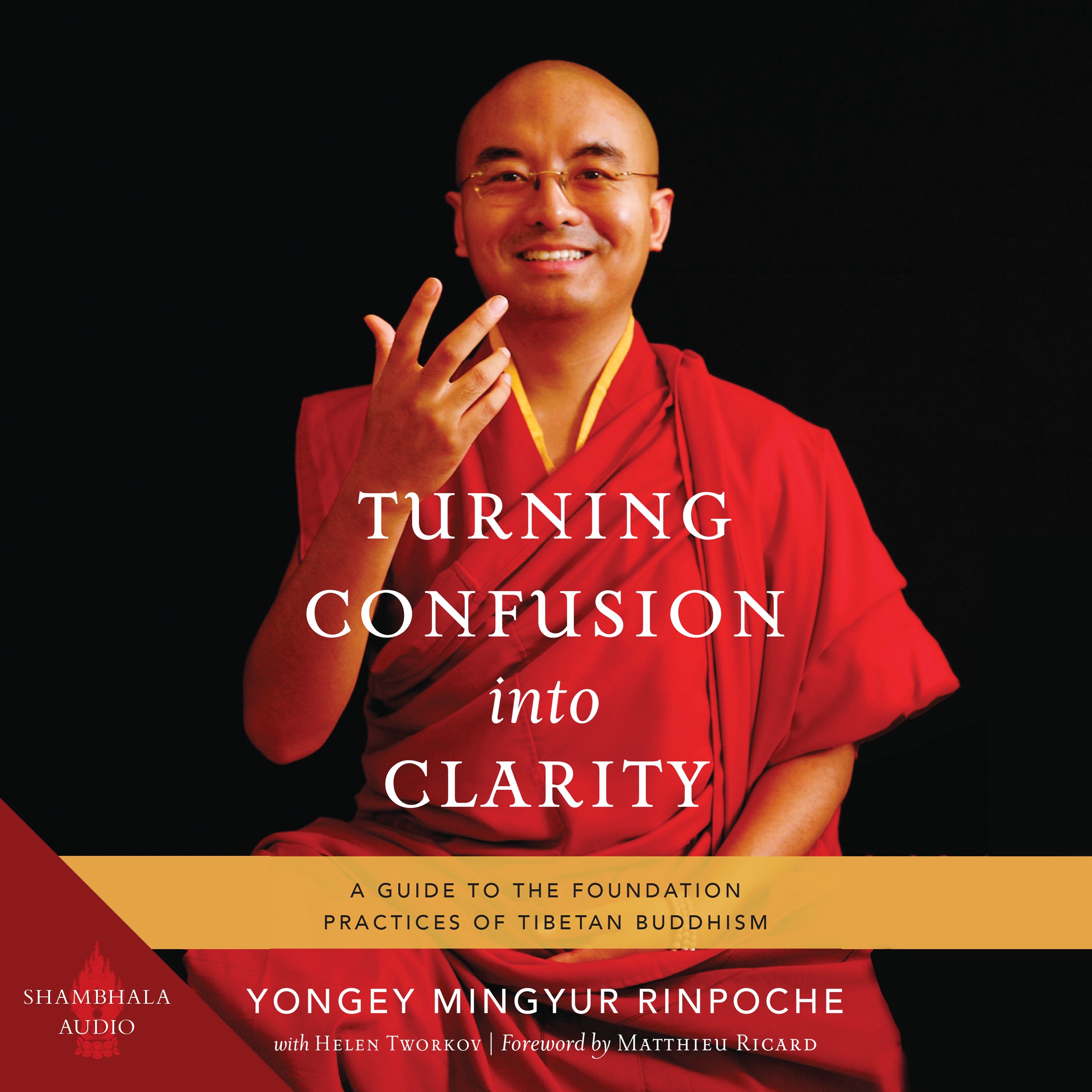 audiobook cover for Turning Confusion into Clarity