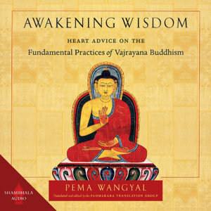 awakening wisdom cover
