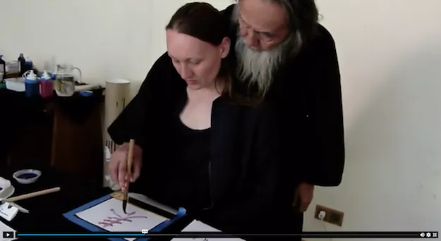 Video Lessons