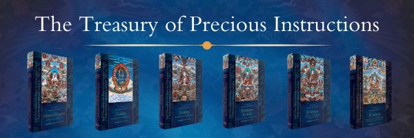 Treasury of Precious Instructions webpage header