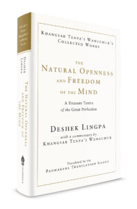 Natural Openness and Freedom of the Mind_HC_1200