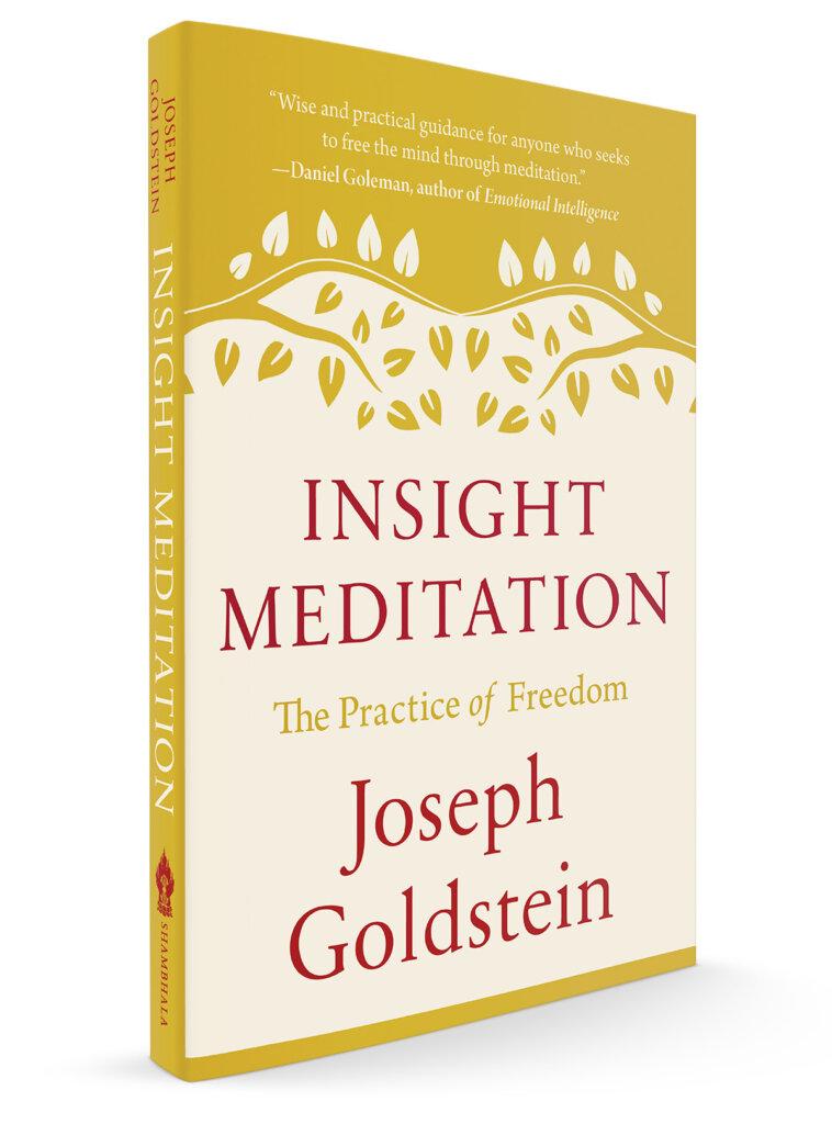 Insight Meditation_PB_1200