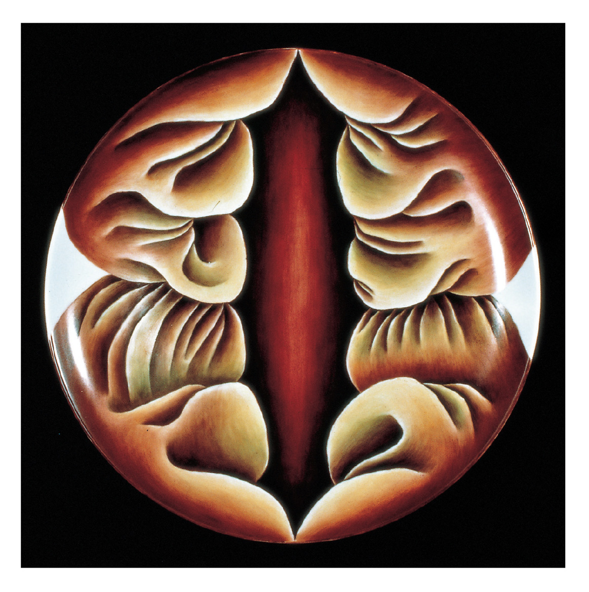 Mandalas 3-FM + Intro 3-22-06 An interior, centered space surrounded by folds or undulations