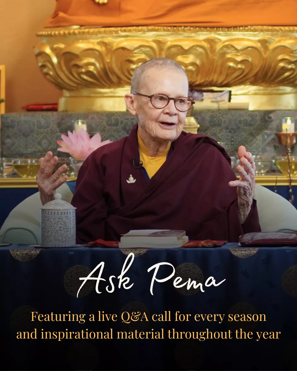 Ask Pema (960 x 1200 px) - mobile header orange subtitle