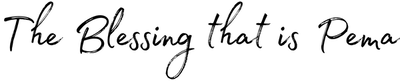 The Blessing (400 x 81)