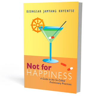 Not for Happiness Not for Happiness